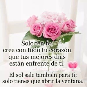 Meet your Posher, Rosy